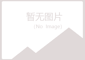 尼勒克县元枫化学有限公司